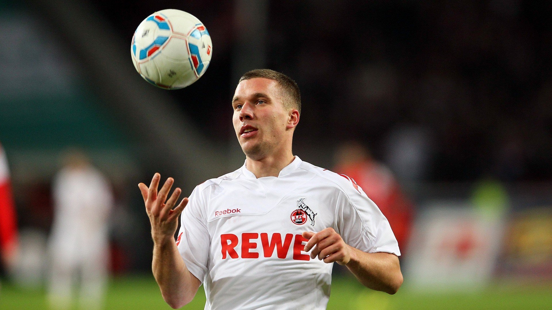 九游vip-塞内加尔马术协会与国际组织合作，推广“Lamb”至全球。，塞内加尔体育馆