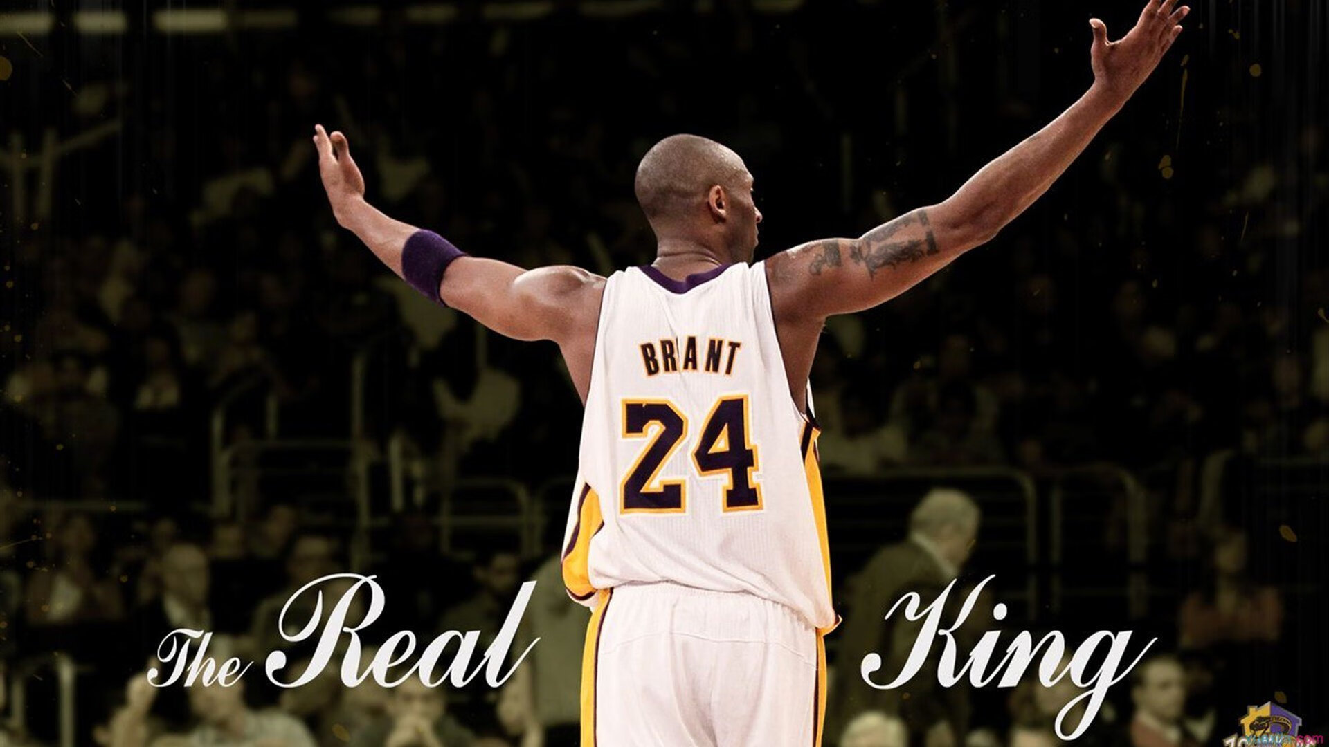 新星崛起：豪门车队争夺未来冠军的希望，新星崛起的成语